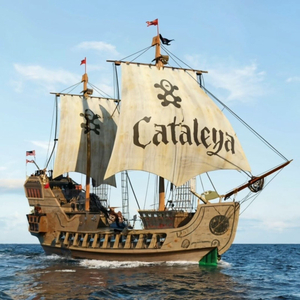 Cataleya