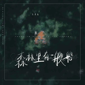 森林里有一艘船