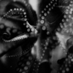 So Here I Live Sorry