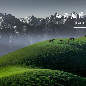梅雨烟圈