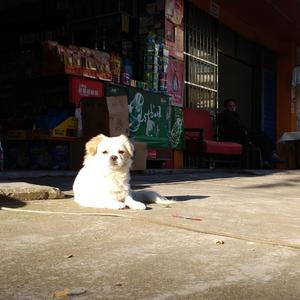 不热烈的歌（Demo）