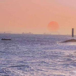 青春之火永不灭