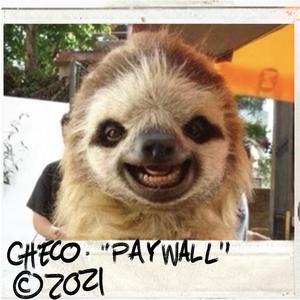 Paywall (Baby Tiger) (feat. Baby Tiger)