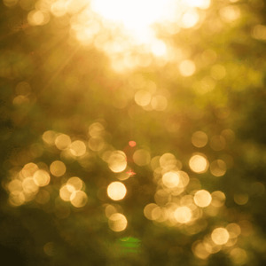 Waltz for Midday Light