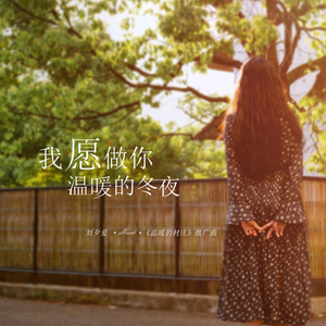 我愿做你温暖的冬日 (《温暖的村庄》电视剧推广曲)
