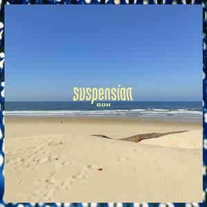 Suspension