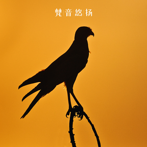 心如止水 (按摩)