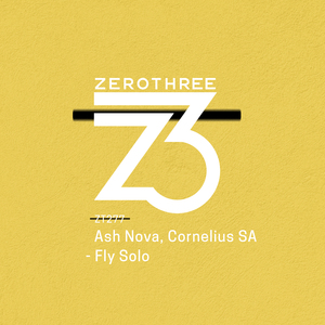 Fly Solo (Extended Mix)