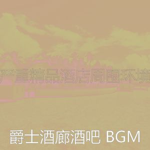 抚慰的酒吧酒店回忆