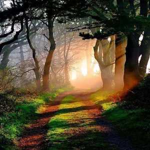 你的一生我只借一晚（耿斯汉Live版）