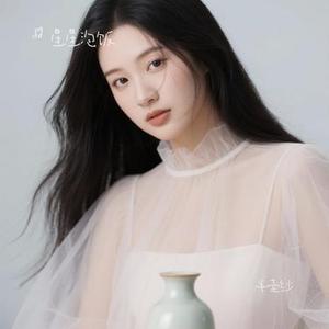 半壶纱 (Cover 刘珂矣)