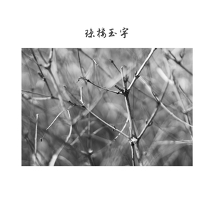 水木清华 (温暖版)