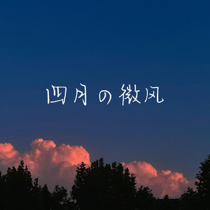 四月的微风
