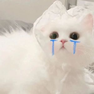 哪里都是你