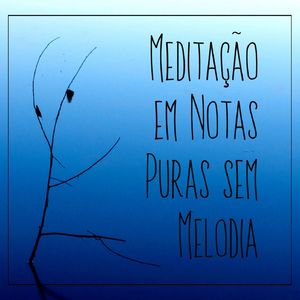 Meditação em Ré Maior Sem Melodia