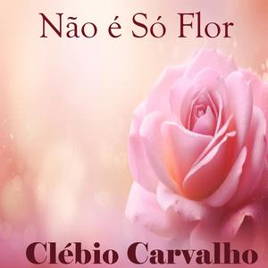 Não é Só Flor