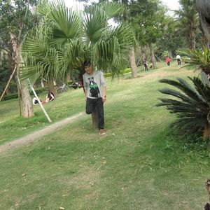 春风拂面像花瓣