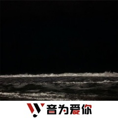 当想你成为习惯 (DJ版)