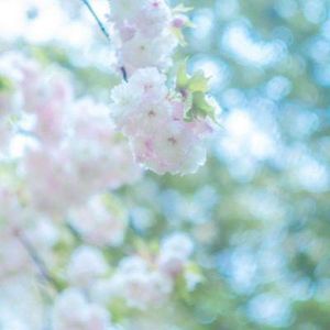 我躺过一条名叫你的河