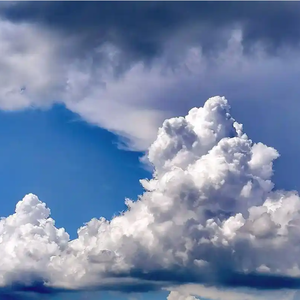 逃离喧嚣的夏日