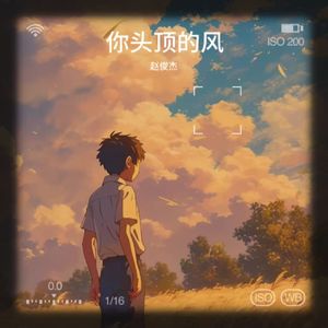 你头顶的风