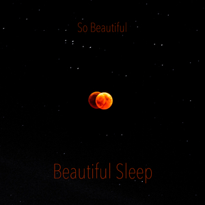 So Beautiful