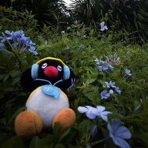 小序_20251001_012720