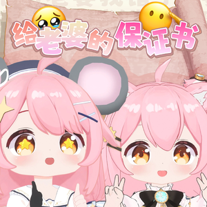 给老婆的保证书