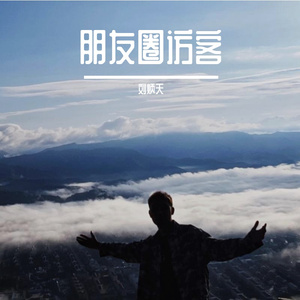 朋友圈访客（Yolo RemixEDM）刘炳天