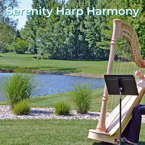 Heavenly Harp Strings
