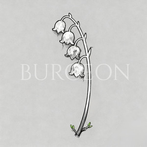 Burgeon