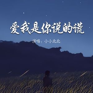 爱我是你说的谎
