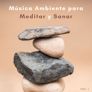 Regulación De La Mente