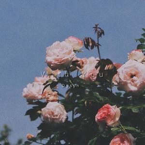 我忘了和你一起在梦里配合出演一部最煽情的电影