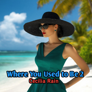 Where You Used to Be 2