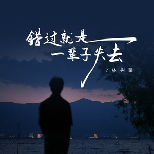 错过就是一辈子失去 (DJ九零版)