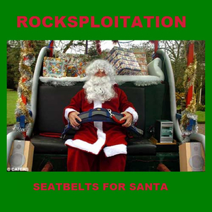 Seatbelts For Santa