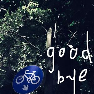 后悔没有say goodbye