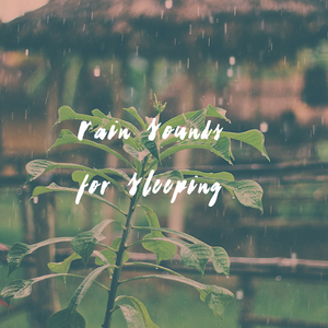 Sleep Rain