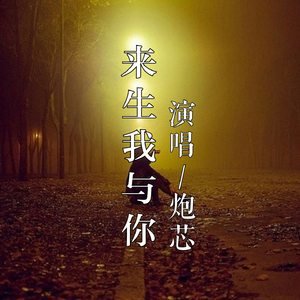 来生我与你
