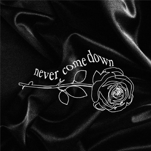 Never Come Down