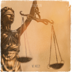 Litigation