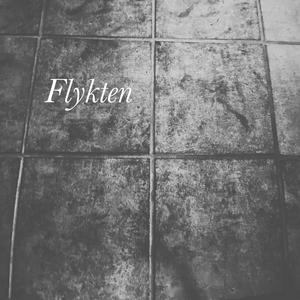 En kråkas kraxande bryter tystnaden