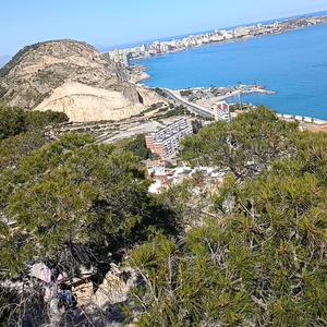 Cómo No Amar la Naturaleza