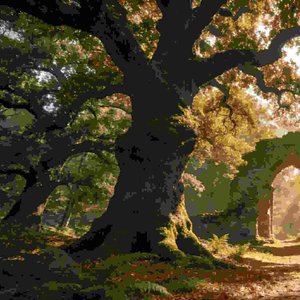 Sound of an old tree