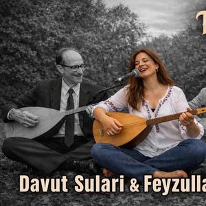 Davut Sulari Feyzullah Çınar Deyişleme Doğaçlama (feat. Davut Sulari & Feyzullah Çınar)
