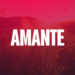 Amante