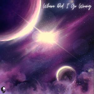 Where Did I Go Wrong