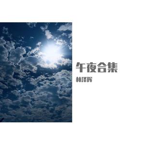 人质(cover张惠妹)