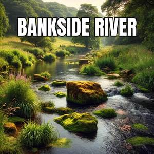Meadow Stream